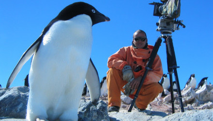 Rush hour antarctica antarctique 